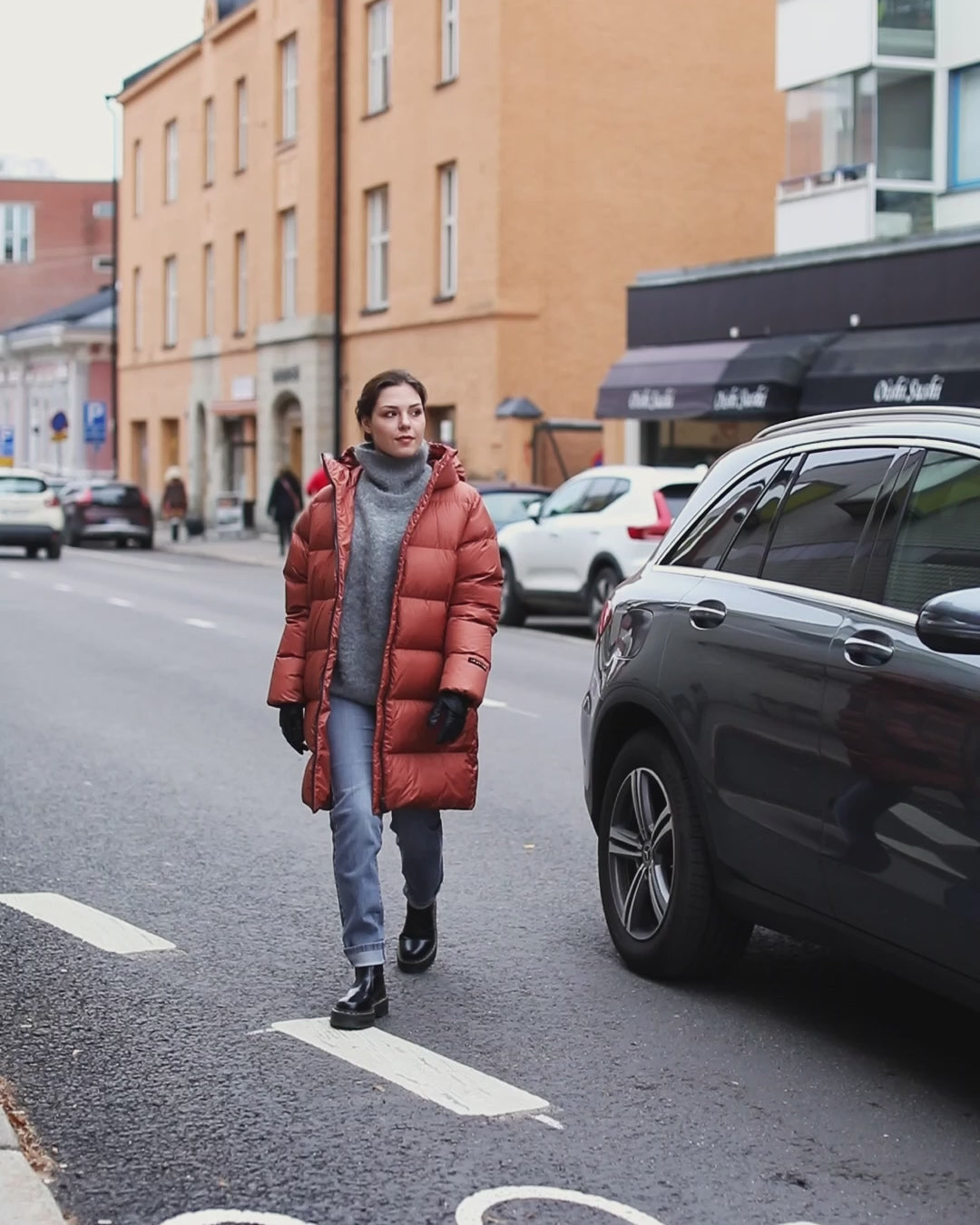 Silvia dunjacka - Joutsen Sweden -