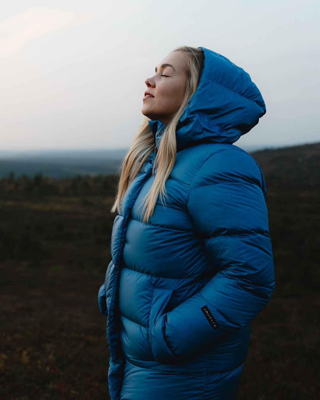 Nietos dunjacka blå fjäril