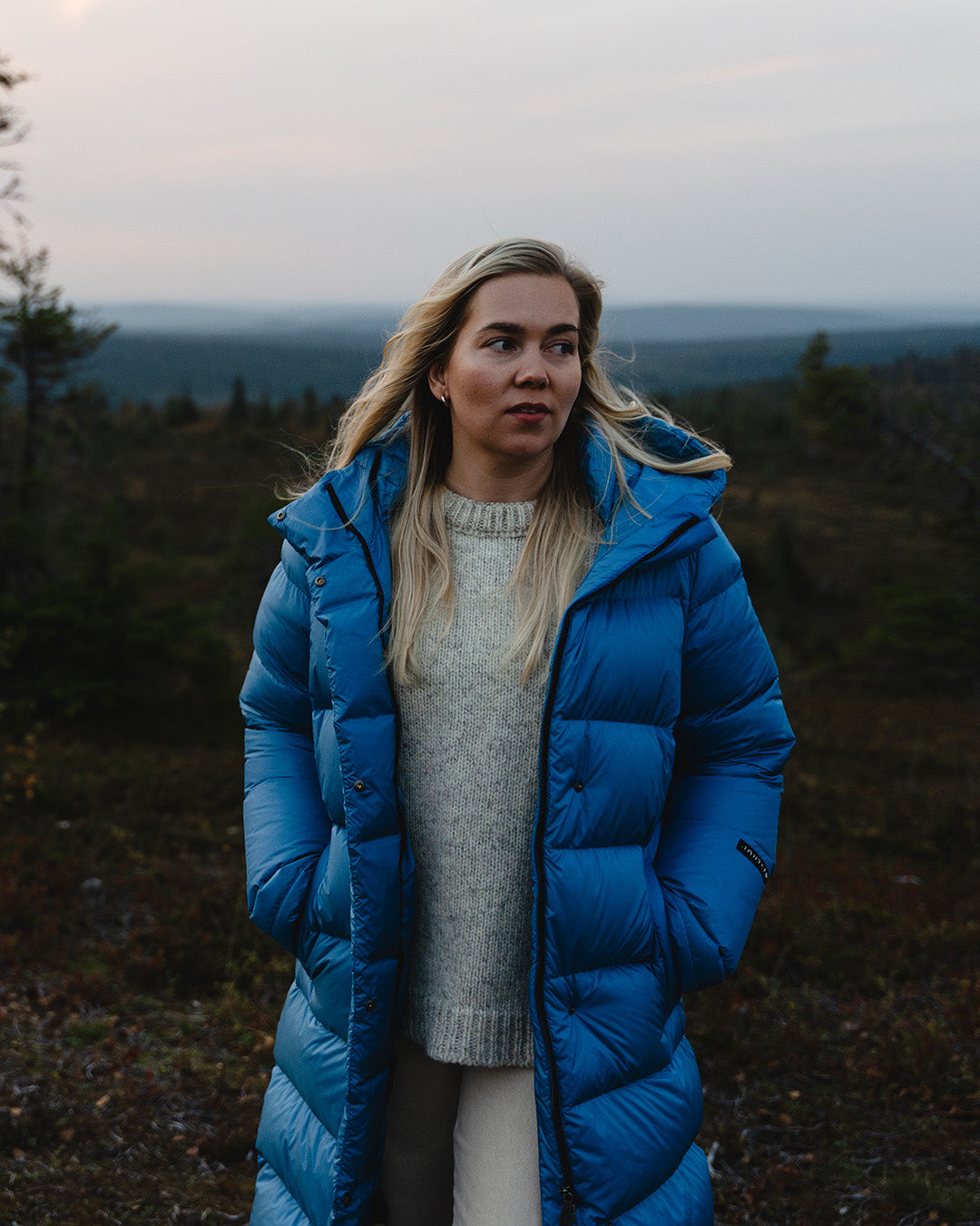 Nietos dunjacka blå fjäril