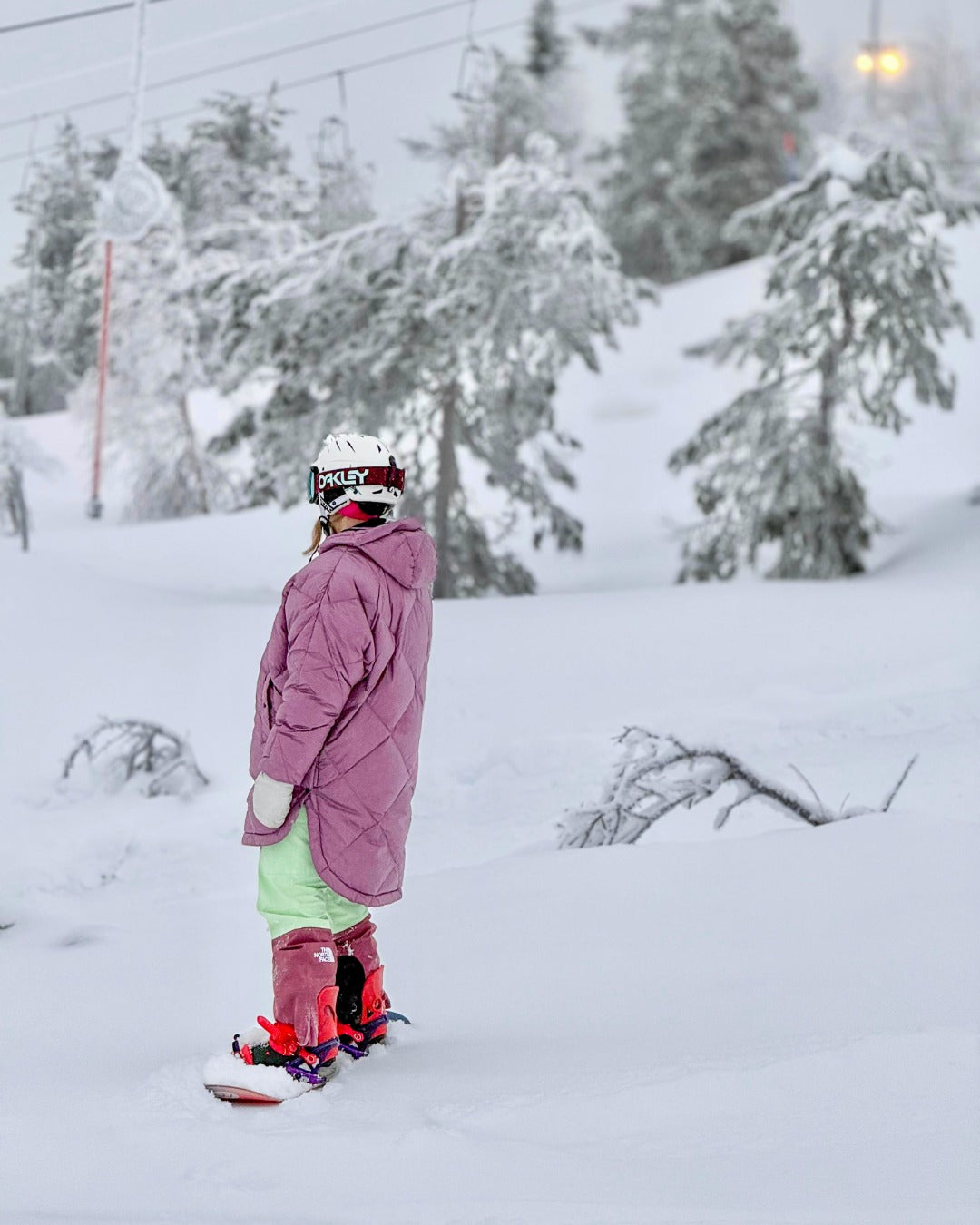 Velho dunanorak dov orkide