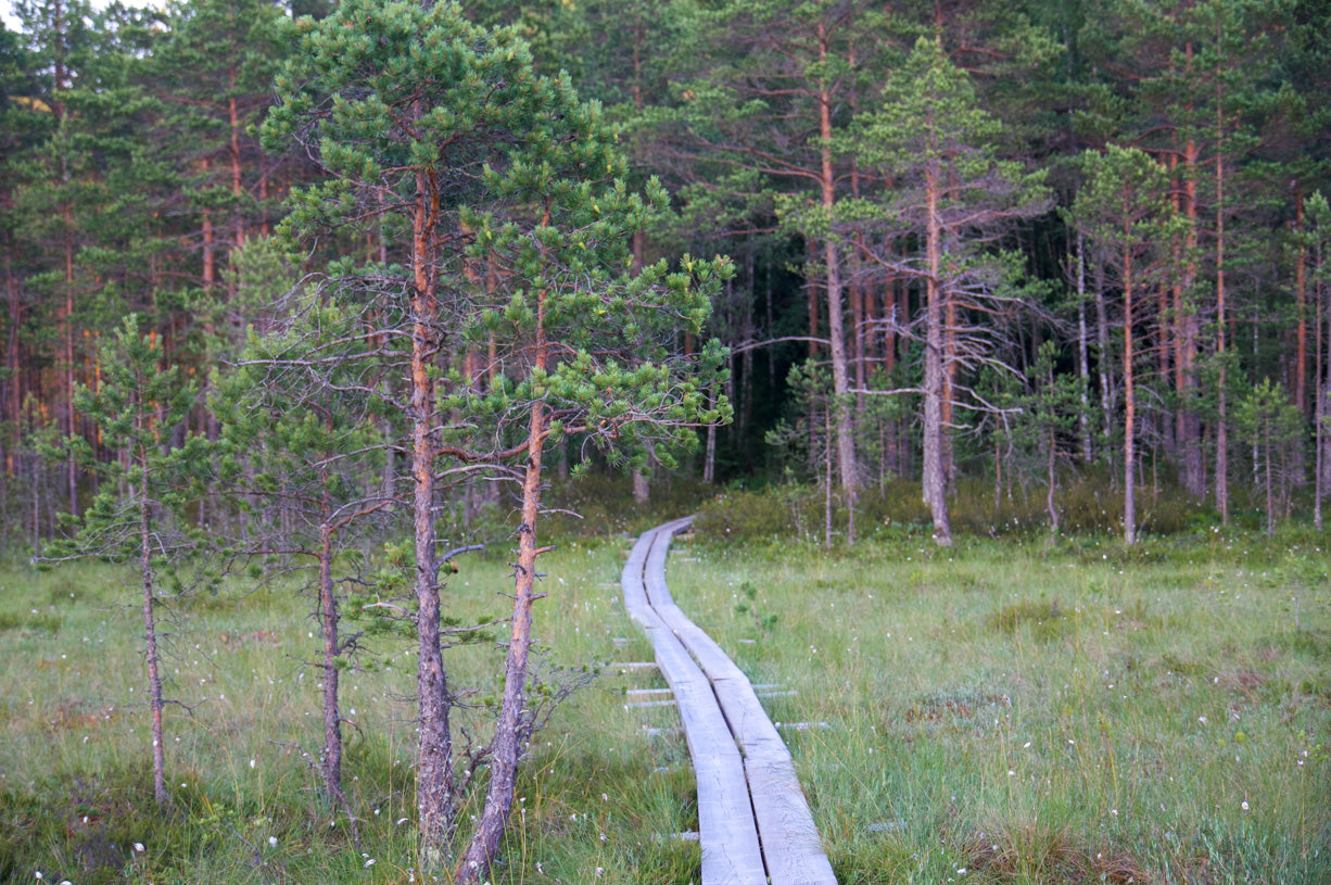 Utmaningarna
